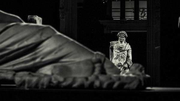 Les dangers de l'érosion du sol sur la faune sauvage